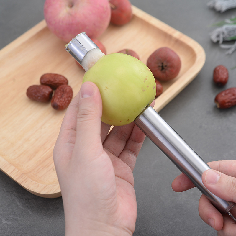 Stainless Steel Fruit Corer Ap - Tech Accessories And Gadgets review and price