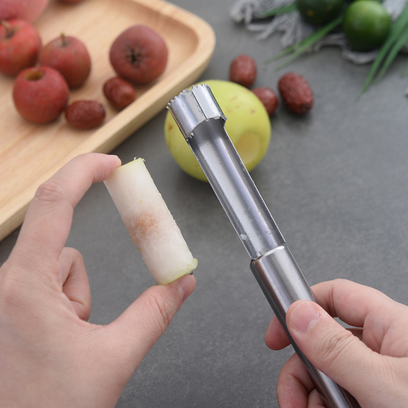 Stainless Steel Fruit Corer Ap - Tech Accessories And Gadgets review and price