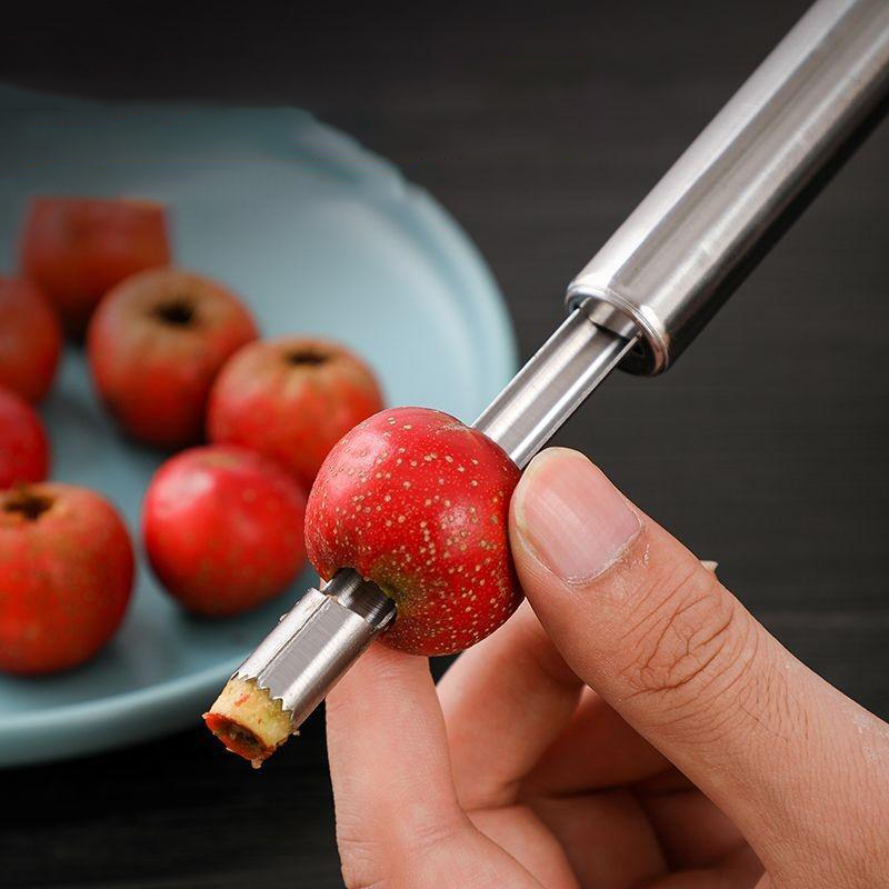 Stainless Steel Fruit Corer Ap - Tech Accessories And Gadgets review and price